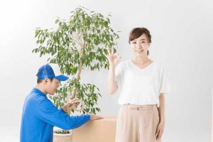 料金最安値!?筆者おすすめの不用品回収業者が片付けの手段として有能すぎる